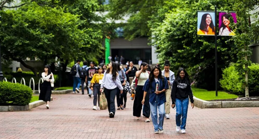Global university pathways from Meridian Future Academy